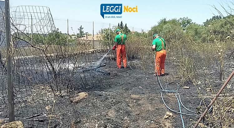 Bruciano 700mq di incolto, avviati accertamenti in materia di AIB