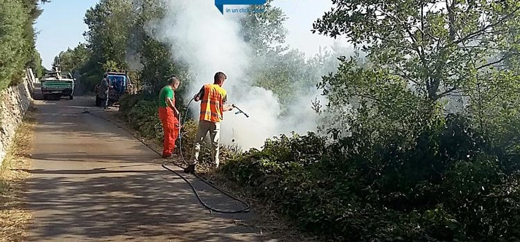 Incendio su via Barsento, bruciano rifiuti