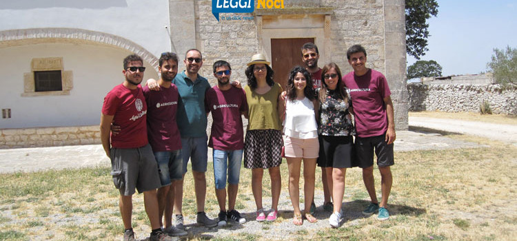 Musica, cinema e prodotti locali, arriva Agricultura Festival 2017 Musica, cinema e prodotti locali, arriva Agricultura Festival 2017