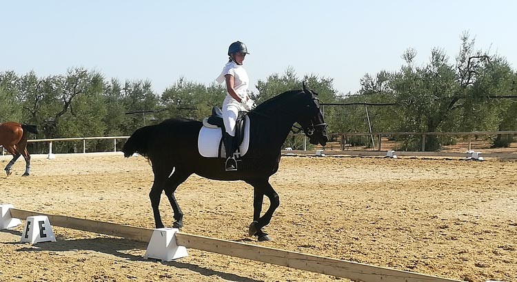 Dressage: buon piazzamento per il CI Monaci