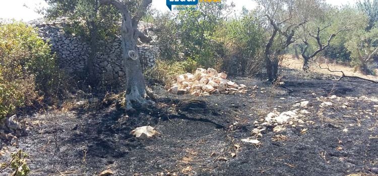 Temperature alte, aumenta la probabilità di incendi