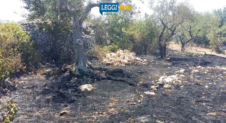 Temperature alte, aumenta la probabilità di incendi