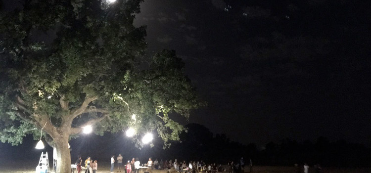 “Sotto l’ombra delle stelle”, natura e astronomia