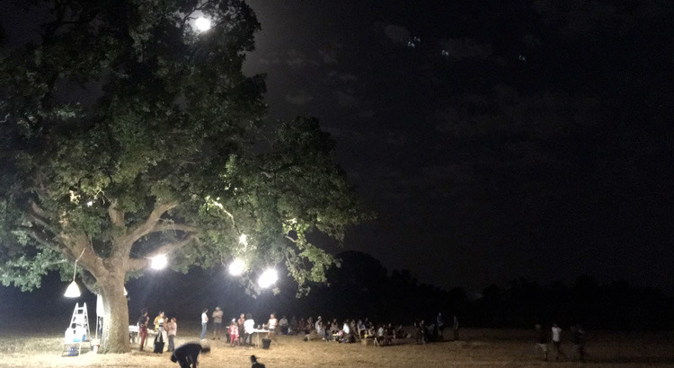 “Sotto l’ombra delle stelle”, natura e astronomia “Sotto l’ombra delle stelle”, natura e astronomia