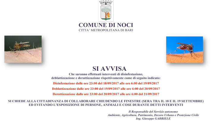 Intervento di disifenstazione