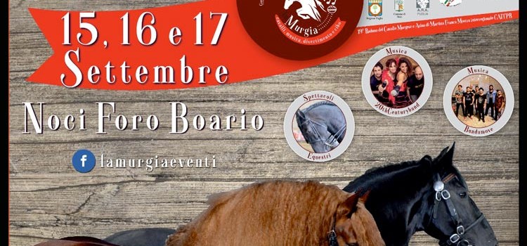 Al Foro Boario il 19° raduno del Cavallo Murgese