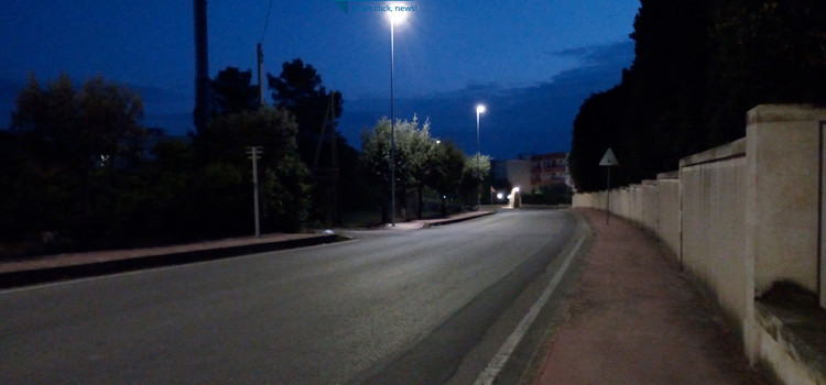 Randagismo, attacco in periferia