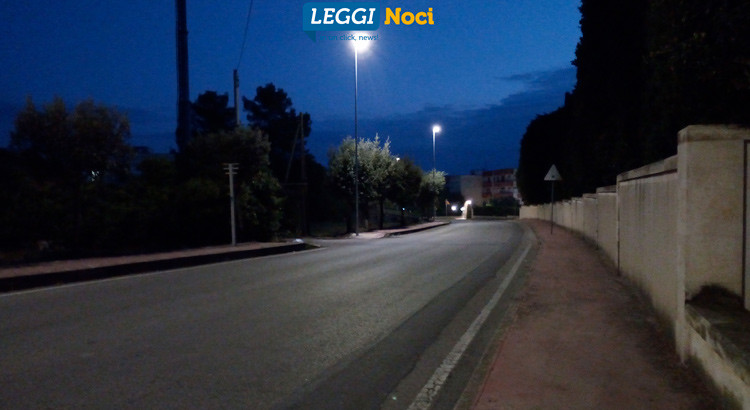 Randagismo, attacco in periferia Randagismo, attacco in periferia