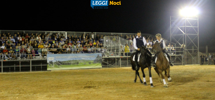 Raduno del Cavallo Murgese: botta e risposta Liuzzi-Nisi