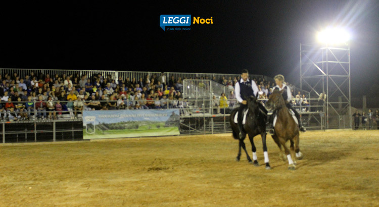 Raduno del Cavallo Murgese, rivoluzione incompresa