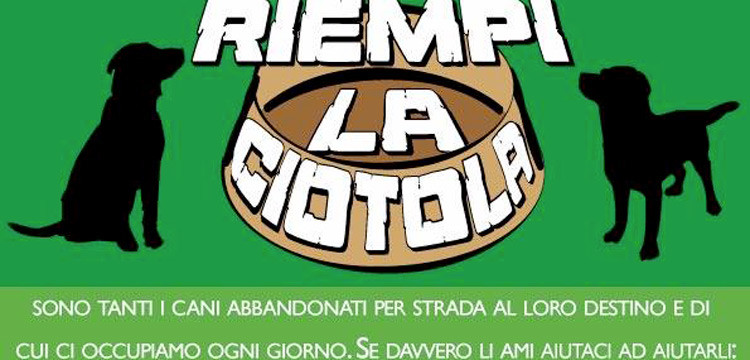 Riempi la ciotola di un randagio