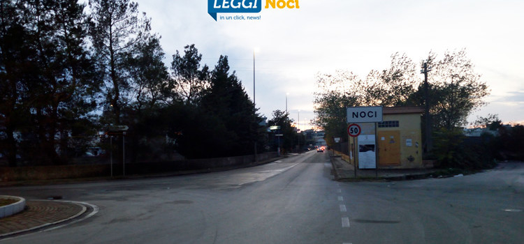 Noci e la sagra, come raggiungere la città in occasione dell’evento gastronomico Noci e la sagra, come raggiungere la città in occasione dell’evento gastronomico