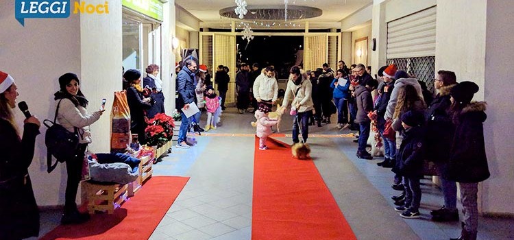 “Dog Christmas… in passerella”, sfilata canina contro il randagismo “Dog Christmas… in passerella”, sfilata canina contro il randagismo