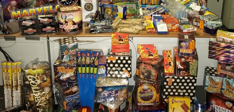 Capodanno senza petardi, il web si mobilita per i cani