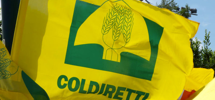 Danni da fauna selvatica, Coldiretti apre uno sportello