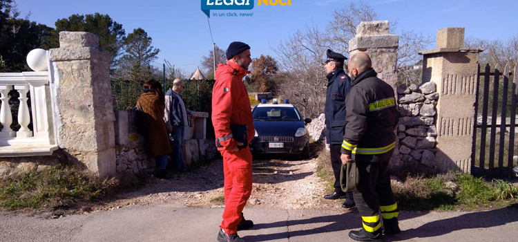 Omicidio-suicidio, Noci sotto choc