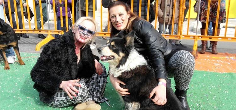 Carnevale di Putignano: una festa anche per i cani