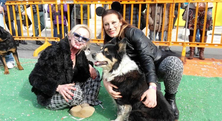 Carnevale di Putignano: una festa anche per i cani