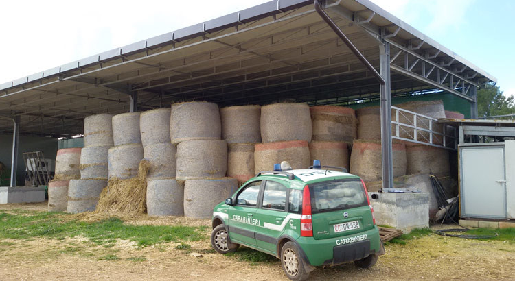 Abusi edilizi e smaltimento di rifiuti zootecnici, sequestrati due capannoni Abusi edilizi e smaltimento di rifiuti zootecnici, sequestrati due capannoni
