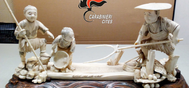 In vendita senza autorizzazioni, sequestrati manufatti in avorio