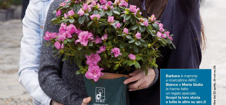 Festa della mamma con l’Azalea della Ricerca AIRC