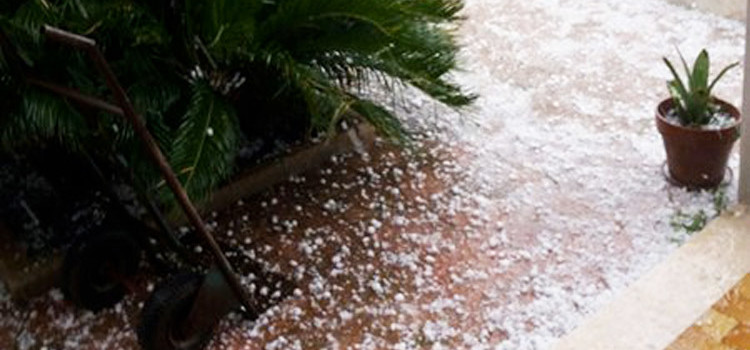 Grandinate su province di Bari e Taranto, Coldiretti chiede versamento dei contribuiti contro le calamità