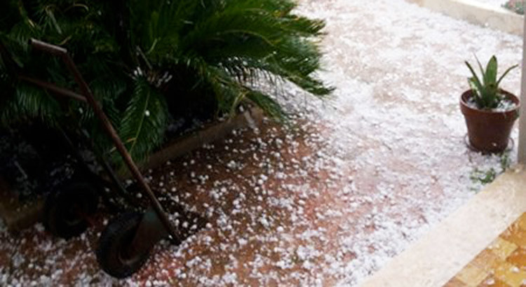 Grandinate su province di Bari e Taranto, Coldiretti chiede versamento dei contribuiti contro le calamità