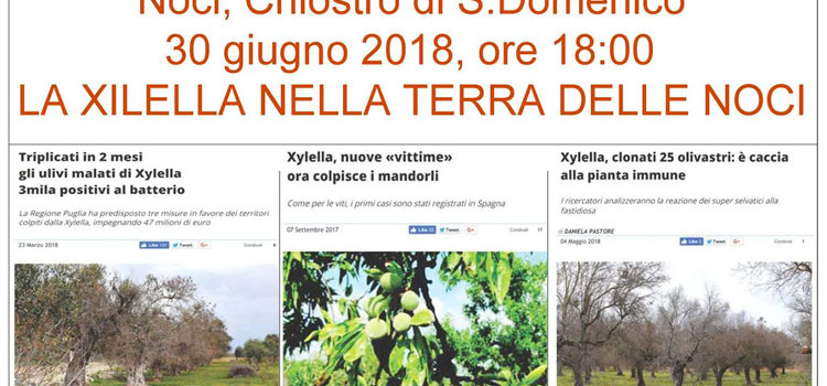 La Xylella nella Terra delle Noci