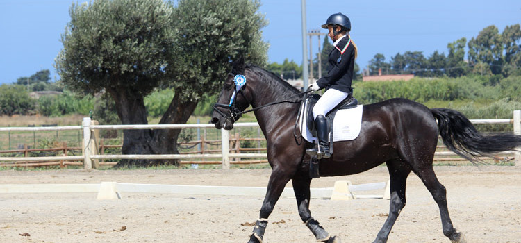 Dressage: Circolo Ippico Monaci argento a Brindisi Dressage: Circolo Ippico Monaci argento a Brindisi