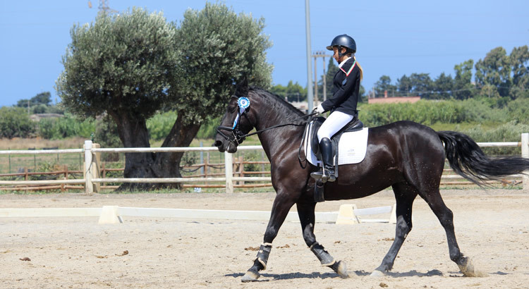 Dressage: Circolo Ippico Monaci argento a Brindisi Dressage: Circolo Ippico Monaci argento a Brindisi