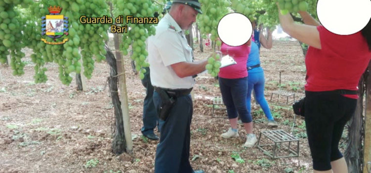 Operazione anticaporalato “Macchia Nera”, arresti e sequestri