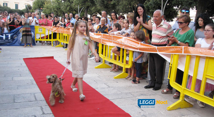 “Tale muso… tale viso”, in piazza le somiglianze cani-conduttori