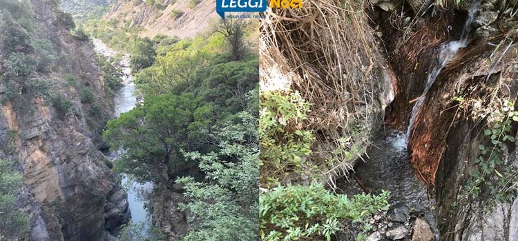 Tragedia del Pollino: tra i pugliesi tre vittime e tre sopravvissuti, nocesi miracolati Tragedia del Pollino: tra i pugliesi tre vittime e tre sopravvissuti, nocesi miracolati