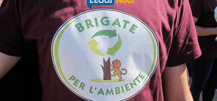 Abbandono di rifiuti: responsabilità circolare, nessuno può tirarsi fuori
