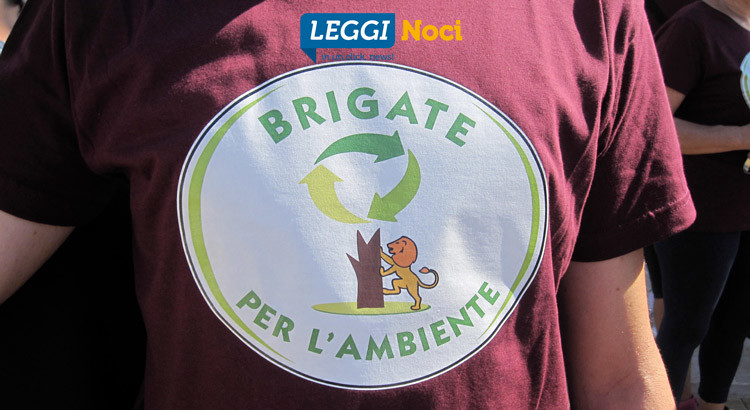 Abbandono di rifiuti: responsabilità circolare, nessuno può tirarsi fuori Abbandono di rifiuti: responsabilità circolare, nessuno può tirarsi fuori