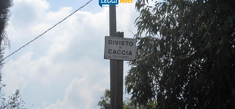 Stagione venatoria, dove e cosa si può cacciare Stagione venatoria, dove e cosa si può cacciare