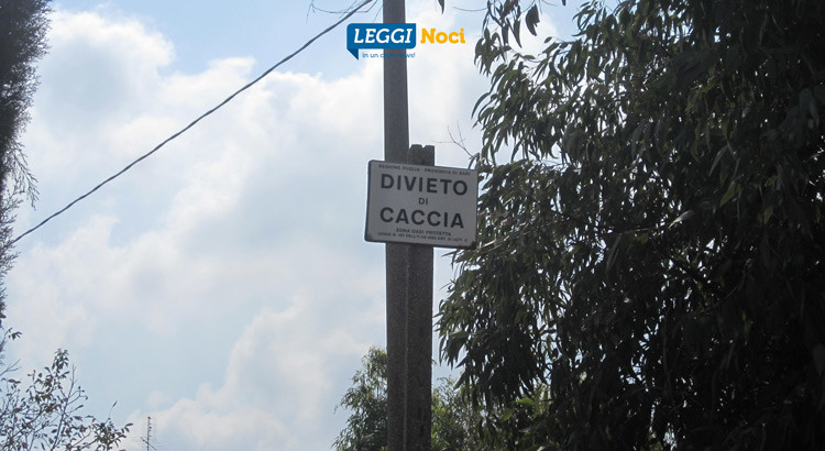 Stagione venatoria, dove e cosa si può cacciare