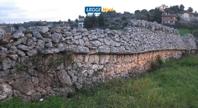 Muretti a secco patrimonio Unesco, Liuzzi: “Giusto riconoscimento al Dna del nostro paesaggio” Muretti a secco patrimonio Unesco, Liuzzi: “Giusto riconoscimento al Dna del nostro paesaggio”