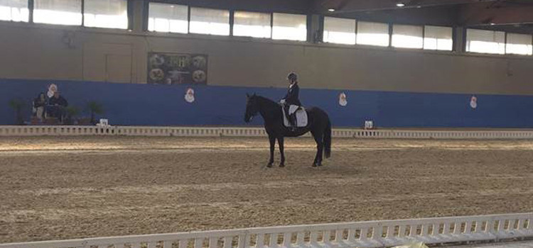 Dressage: ottimi risultati alla coppa delle regioni Dressage: ottimi risultati alla coppa delle regioni