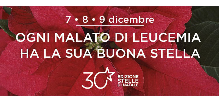 Stelle di Natale 2018 Stelle di Natale 2018
