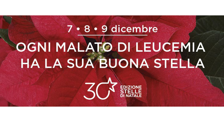 Stelle di Natale 2018