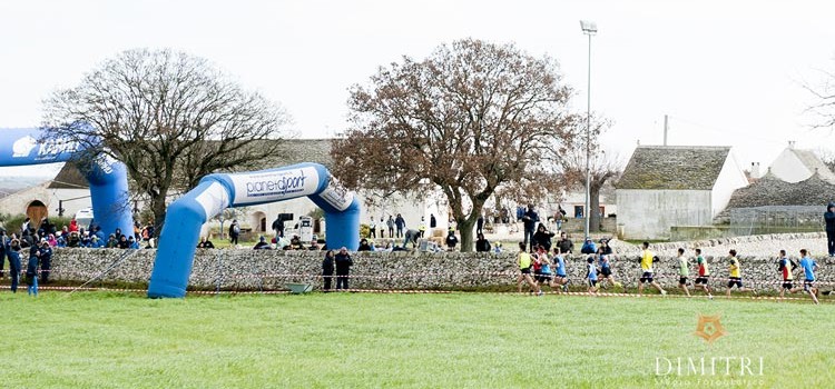 Successo organizzativo per il 1° Trofeo Cross “Masseria Vecchia Mastro Marco” Successo organizzativo per il 1° Trofeo Cross “Masseria Vecchia Mastro Marco”