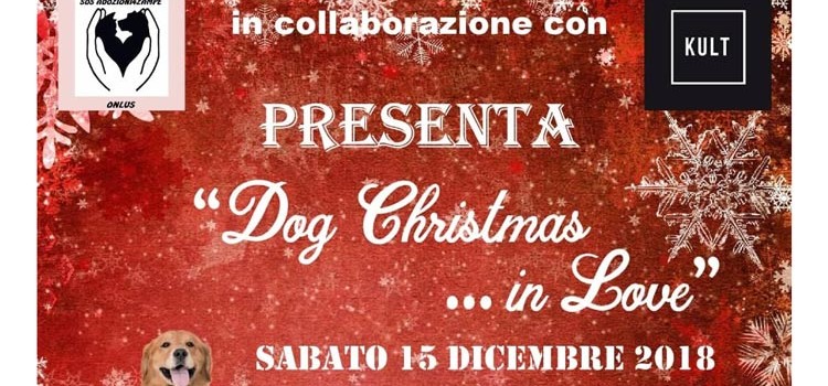 Dog Christmas… In Love
