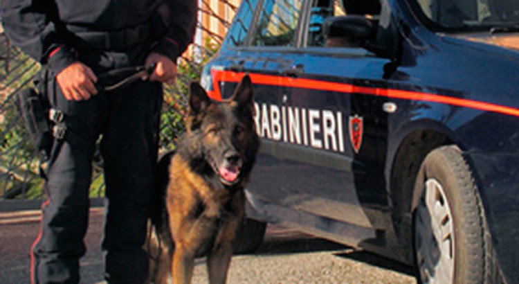 Arrestato un “pusher” 22enne grazie al fiuto di “Zilo”