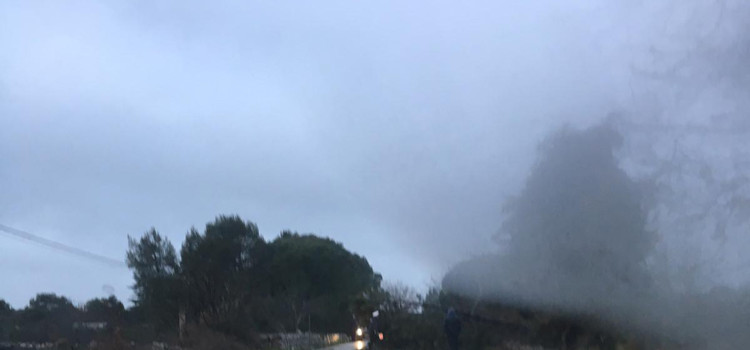 Sfiorata la tragedia sulla S.P. Noci-Gioia del Colle Sfiorata la tragedia sulla S.P. Noci-Gioia del Colle