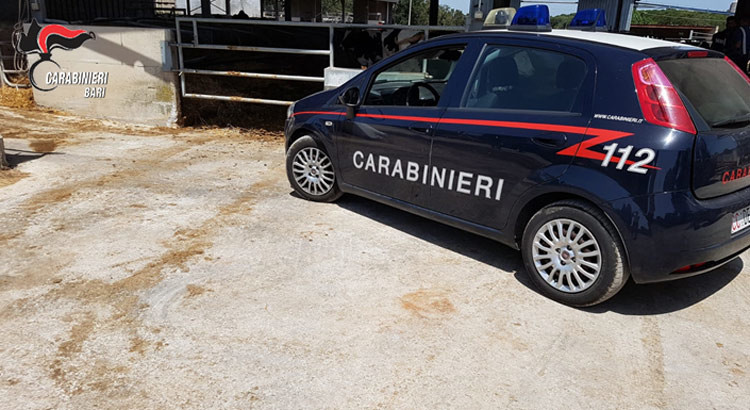 Scoperta una masseria dove lavoravano due pastori in condizioni di sfruttamento. Arrestati i due proprietari