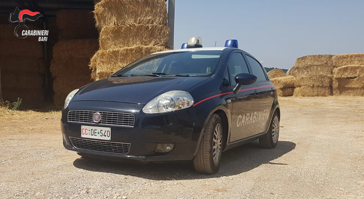 Scoperta una masseria dove lavorava un pastore bengalese in condizioni di sfruttamento. Arrestato dai Carabinieri il titolare dell’attività