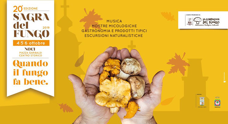 Torna la sagra del fungo a Noci Torna la sagra del fungo a Noci