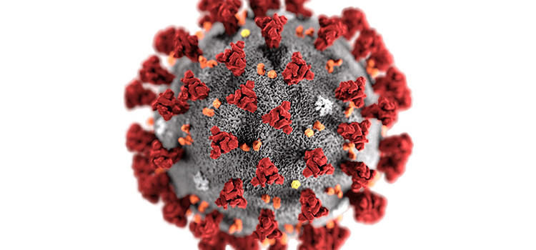 Coronavirus: pericoli e precauzioni Coronavirus: pericoli e precauzioni