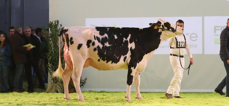 Zootecnia Pugliese protagonista a Fieragricola Verona